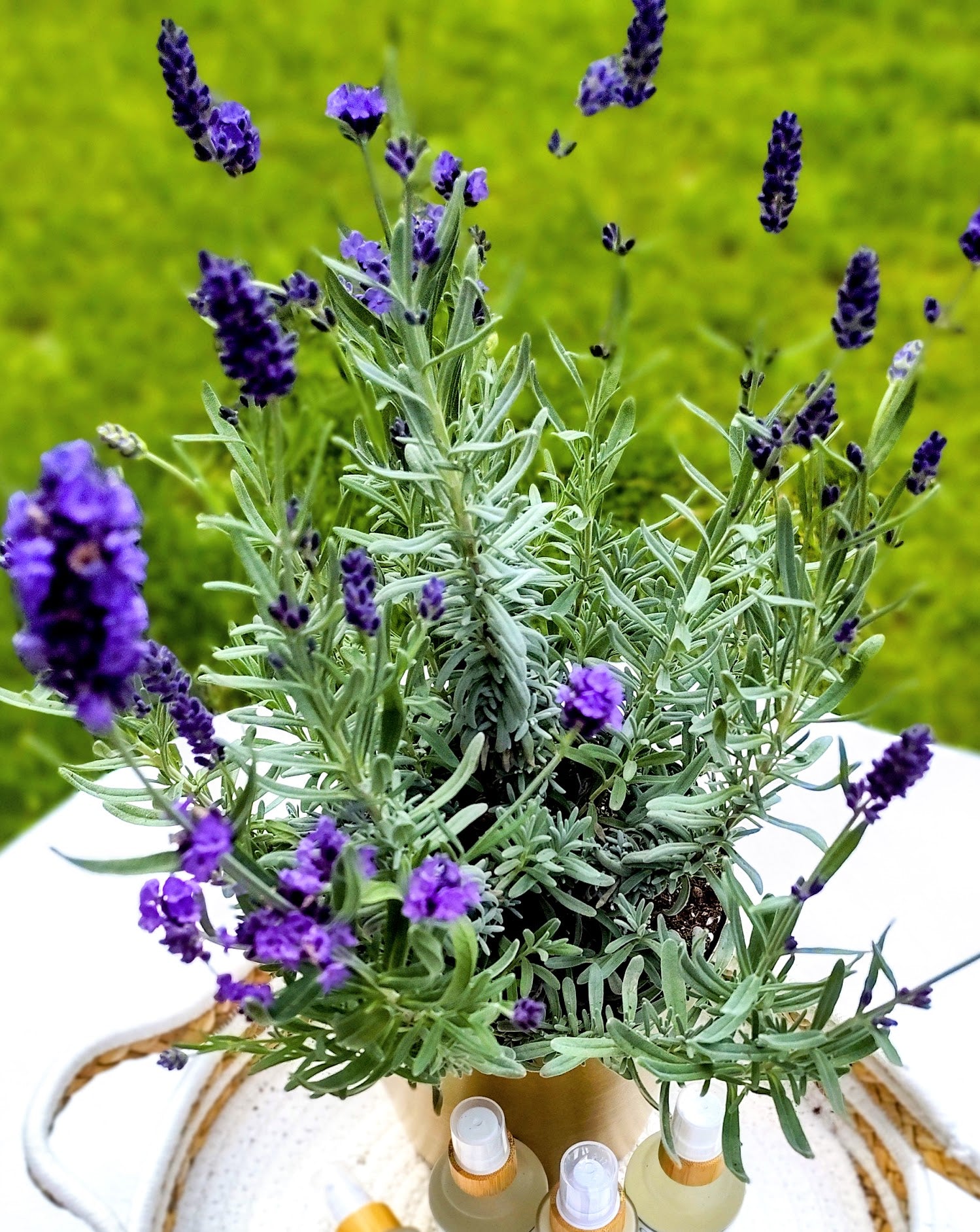 Ingrédients Purifiants Pour la Peau